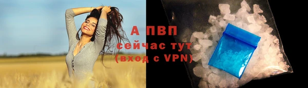 ПСИЛОЦИБИНОВЫЕ ГРИБЫ Волосово