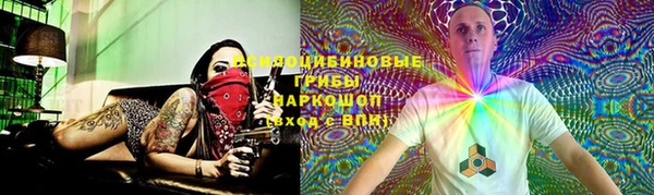 ПСИЛОЦИБИНОВЫЕ ГРИБЫ Волосово