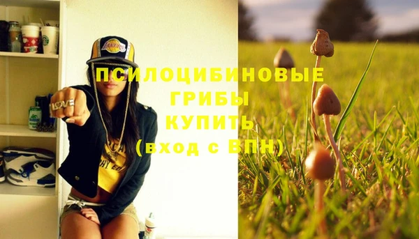 ПСИЛОЦИБИНОВЫЕ ГРИБЫ Волосово